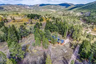 964 Ski Rd, Allenspark, CO 80510 - Photo 40