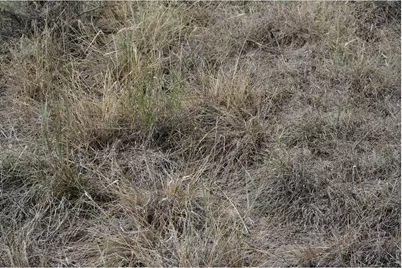 14801 County Road 8, Wiggins, CO 80654 - Photo 36