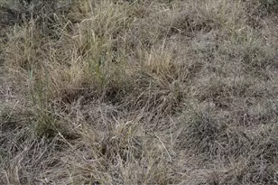 14801 Co Rd 8, Wiggins, CO 80654 - Photo 36