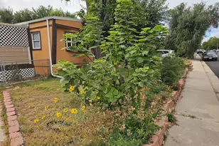 227 Balsam St, Log Lane Village, CO 80705 - Photo 2