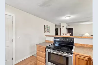 11 Rochester Dr, Windsor, CO 80550 - Photo 26