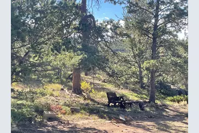 123 Tahlequah Way, Red Feather Lakes, CO 80545 - Photo 8