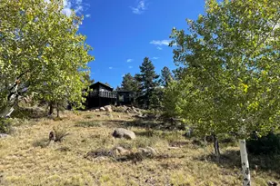 123 Tahlequah Way, Red Feather Lakes, CO 80545 - Photo 4