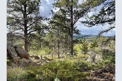 123 Tahlequah Way, Red Feather Lakes, CO 80545 - Photo 14