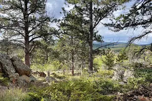 123 Tahlequah Way, Red Feather Lakes, CO 80545 - Photo 14