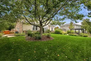 15036 Silver Feather Cir, Broomfield, CO 80023 - Photo 40