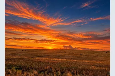 Tbd County Road 27, Pierce, CO 80650 - Photo 1
