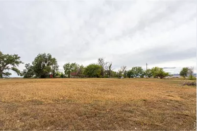 11432 N County Road 15, Fort Collins, CO 80524 - Photo 36