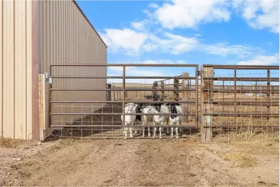 13583 County Road 96, Nunn, CO 80648 - Photo 22