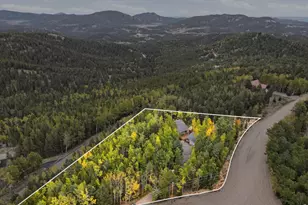 11436 Nancy's Dr, Conifer, CO 80433 - Photo 50
