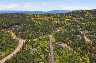 11436 Nancy's Dr, Conifer, CO 80433 - Photo 46