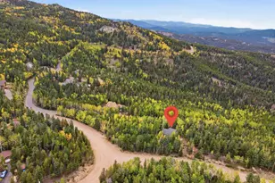 11436 Nancy's Dr, Conifer, CO 80433 - Photo 48