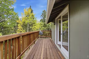11436 Nancy's Dr, Conifer, CO 80433 - Photo 28
