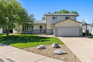 619 Blue Mountain Ct, Windsor, CO 80550 - Photo 2