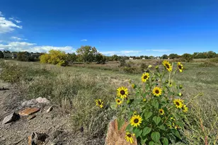 15648 E Mexico Ave, Aurora, CO 80017 - Photo 26