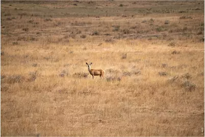0 Cr 90 140 Ac, Ault, CO 80610 - Photo 6