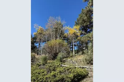0 Tbd Bald Mountain Dr, Livermore, CO 80536 - Photo 6