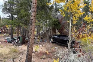 1351 Lump Gulch Rd, Black Hawk, CO 80422 - Photo 14
