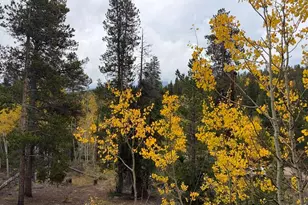 1351 Lump Gulch Rd, Black Hawk, CO 80422 - Photo 40