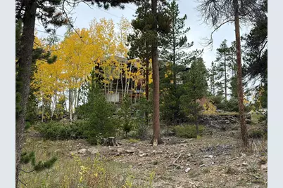 1351 Lump Gulch Rd, Black Hawk, CO 80422 - Photo 6