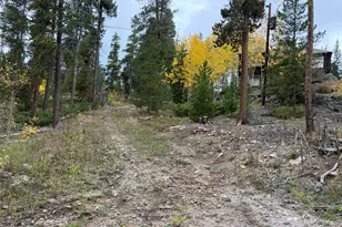 1351 Lump Gulch Rd, Black Hawk, CO 80422 - Photo 8