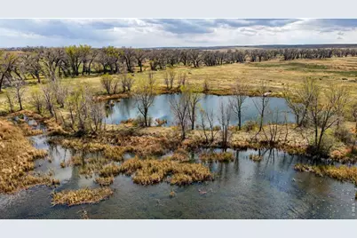 38250 County Road 170, Agate, CO 80101 - Photo 8