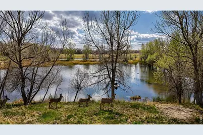 38250 County Road 170, Agate, CO 80101 - Photo 6