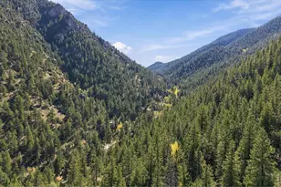 204 Waltonia Rd, Drake, CO 80515 - Photo 40