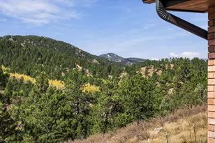 681 Bitterroot Gulch Trail, Loveland, CO 80537 - Photo 20