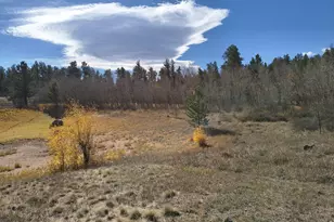 2225 N County Rd 73C, Red Feather Lakes, CO 80545 - Photo 2