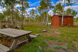 2883 Michigan Hill Rd, Jefferson, CO 80456 - Photo 8
