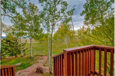 2883 Michigan Hill Rd, Jefferson, CO 80456 - Photo 22