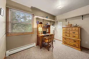 910 Ramshorn Dr, Estes Park, CO 80517 - Photo 14