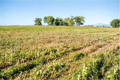 7824 E County Road 16, Johnstown, CO 80534 - Photo 32