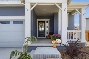 5533 Fleur De Lis Ln, Timnath, CO 80547 - Photo 4