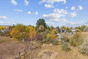 10272 Macedonia St, Longmont, CO 80503 - Photo 40
