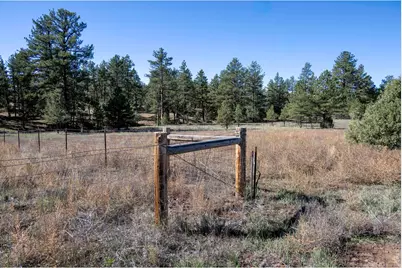 1563 19th Trl, Cotopaxi, CO 81223 - Photo 4