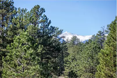 1563 19th Trl, Cotopaxi, CO 81223 - Photo 8