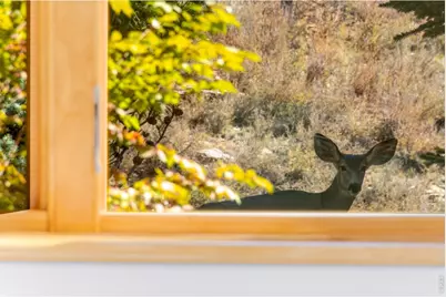 1016 Horizon Dr, Lyons, CO 80540 - Photo 36