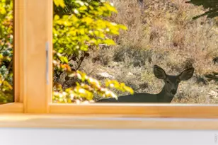 1016 Horizon Dr, Lyons, CO 80540 - Photo 36
