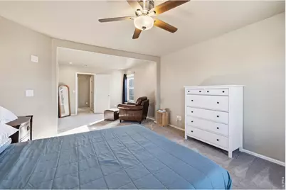 3635 Torch Lily St, Wellington, CO 80549 - Photo 18