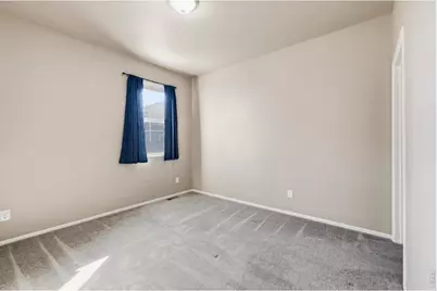 3635 Torch Lily St, Wellington, CO 80549 - Photo 14