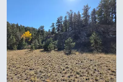12190 Highway 7, Allenspark, CO 80510 - Photo 4