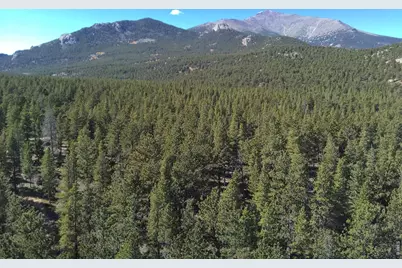 12190 Highway 7, Allenspark, CO 80510 - Photo 8