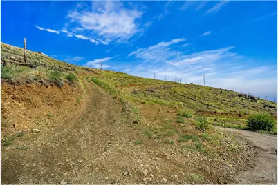 1600 Whale Rock Rd, Bellvue, CO 80512 - Photo 14