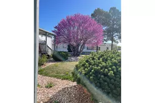 1166 Madison Ave, Loveland, CO 80537 - Photo 4