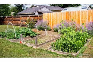 2300 W County Road 38 Rd E, Fort Collins, CO 80526 - Photo 12