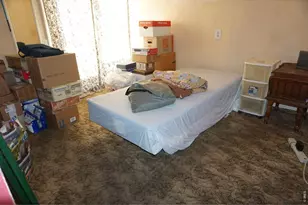 4412 E Mulberry St, Fort Collins, CO 80524 - Photo 22