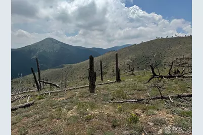 280 Rim Rd, Boulder, CO 80302 - Photo 20