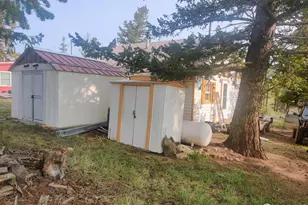 121 Pine Nut Ln, Red Feather Lakes, CO 80545 - Photo 20